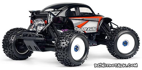 proline beetle body